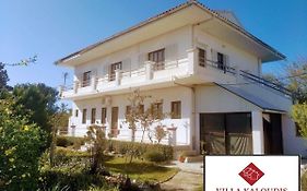 Villa Kaloudis